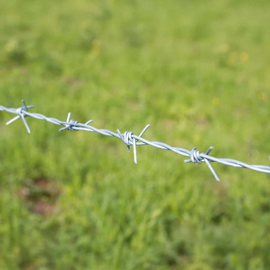 Barbed Wire